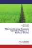 Mass and Energy Recovery from Rice Straw as a Biomass Source