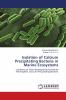 Isolation of Calcium Precipitating Bacteria in Marine Ecosystems