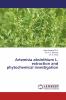 Artemisia absinthium L. extraction and phytochemical investigation