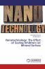 Nanotechnology: The Effect of Scaling Inhibitors on Mineral Surface