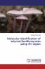 Molecular Identification of selected Basidiomycetes using ITS region