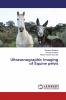 Ultrasonographic Imaging of Equine pelvis