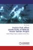 Factors that affect productivity at Medupi Power Station Project