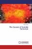 The Causes of Suicide Terrorism