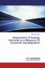 Assessment of Energy Intensity as a Measure of Economic Development
