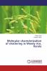 Molecular charecterization of shattering in Weedy rice Kerala