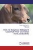 How to Diagnose Malignant Catarrhal Fever and views from pastoralists