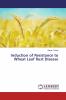 Induction of Resistance to Wheat Leaf Rust Disease