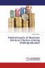 Determinants of Business Venture Choices among Undergraduates