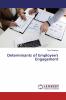 Determinants of Employee's Engagement