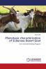 Phenotypic characterization of Sudanese Desert Goat