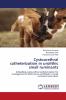 Cystourethral catheterization in urolithic small ruminants