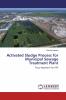 Activated Sludge Process for Municipal Sewage Treatment Plant