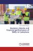 Business climate and financial performance of SMEs in Cameroon