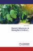 Recent Advances in Mangifera Indica L.
