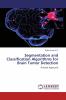 Segmentation and Classification Algorithms for Brain Tumor Detection