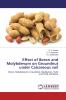 Effect of Boron and Molybdenum on Groundnut under Calcareous soil