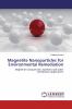 Magnetite Nanoparticles for Environmental Remediation