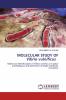 MOLECULAR STUDY OF Vibrio vulnificus