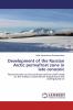 Development of the Russian Arctic permafrost zone in late cenozoic