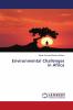 Environmental Challenges in Africa