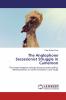 The Anglophone Secessionist Struggle in Cameroon