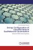 Energy Configuration of Liquefied Natural Gas/Molecular Quantization
