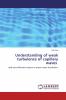 Understanding of weak turbulence of capillary waves ���