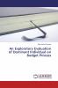 An Exploratory Evaluation of Dominant Individual on Budget Process