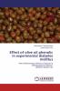 Effect of olive oil phenolic in experimental diabetes mellitus