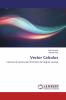 Vector Calculus