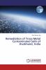 Remediation of Trace Metal Contaminated Soils of Jharkhand India