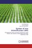 System of rice intensification (SRI)