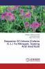 Response Of Celosia (Celosia A. L.) To Nitrogen Sowing And Seed Rate