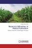 Resource Utilisation in Maize Production