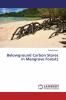 Belowground Carbon Stores in Mangrove Forests