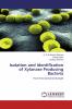 Isolation and Identification of Xylanase Producing Bacteria