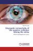 Disynaptic connectivity of the superior colliculus linking the retina