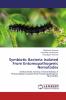 Symbiotic Bacteria Isolated From Entomopathogenic Nematodes