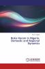 Boko Haram in Nigeria: Domestic and Regional Dynamics