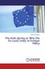 The Arab Spring or Why the EU Lacks Unity in Foreign Policy