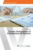 Causes/ Antecedents of Entrepreneurial Burnout