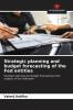 Strategic planning and budget forecasting of the Fed entities