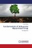 Fundamentals of Arbuscular Mycorrhizal Fungi
