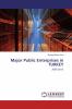 Major Public Enterprises in TURKEY