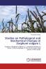 Studies on Pathological and Biochemical Changes in Sorghum vulgare L