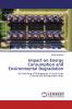 Impact on Energy Consumption and Environmental Degradation