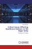 Critical Issues Affecting Healthcare Delivery in the Niger Delta