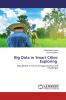 Big Data in Smart Cities