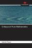 Critique of Pure Mathematics